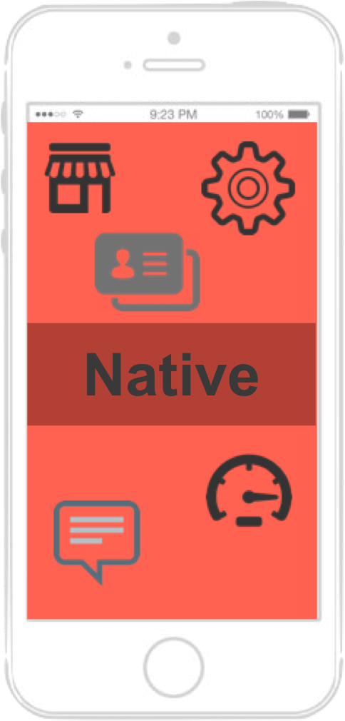 Application mobile native